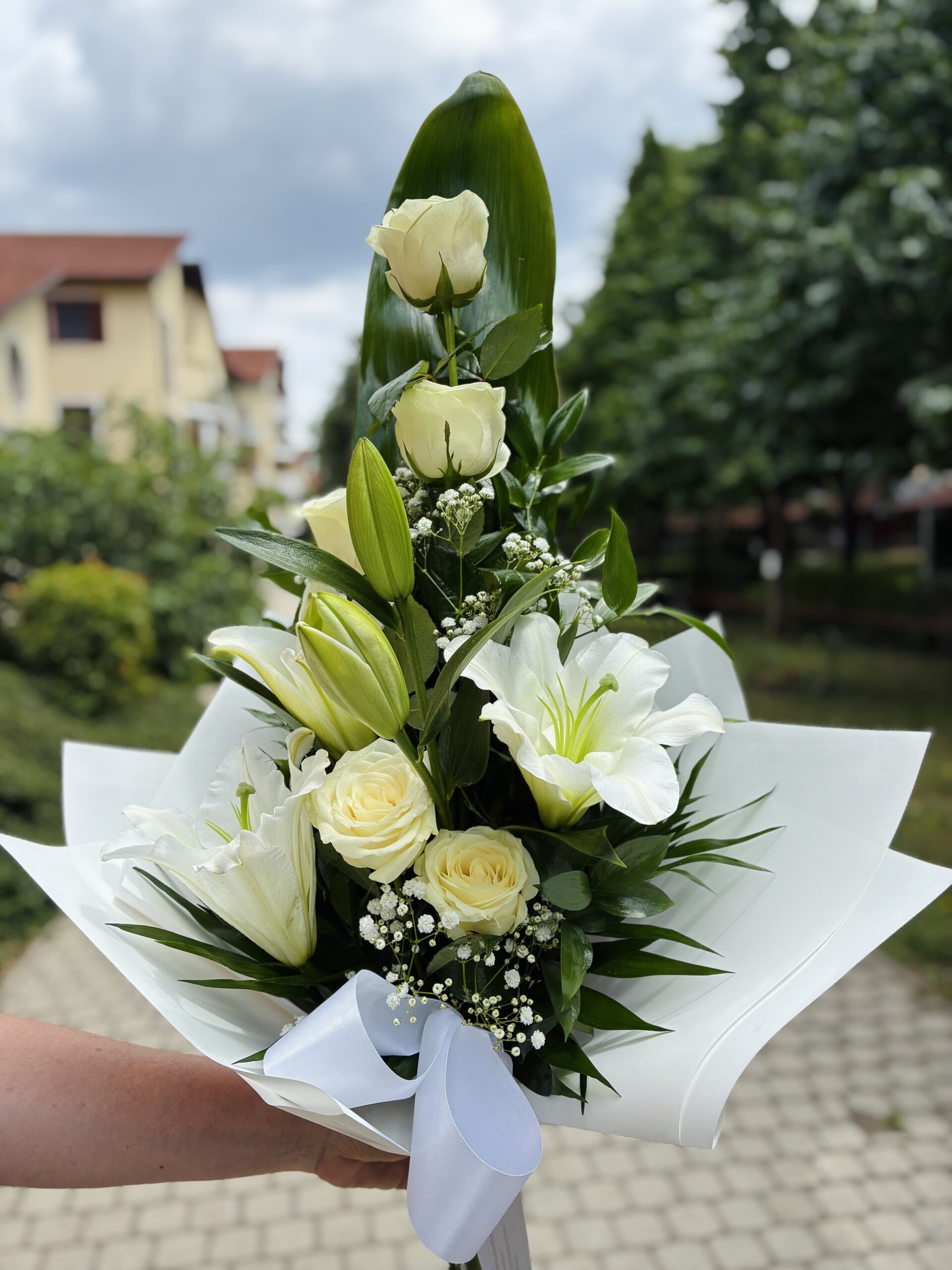Kezdőlap img 3276